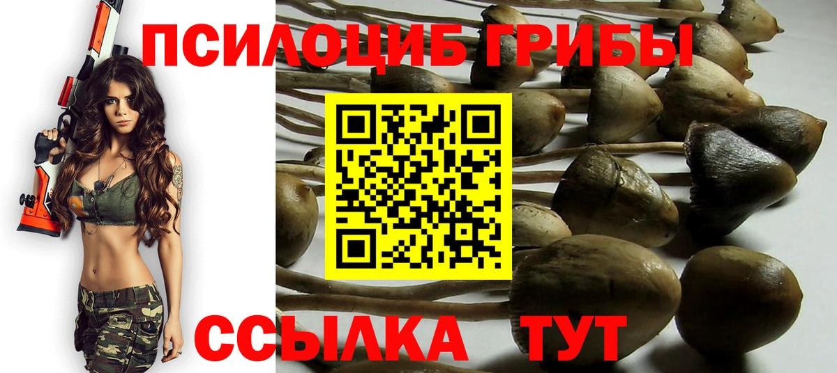 Галлюциногенные грибы Psilocybine cubensis Кыштым
