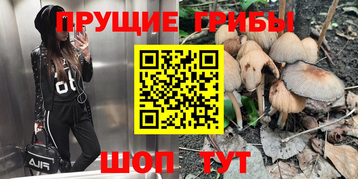 Псилоцибиновые грибы ЛСД  Вход с VPN  Псилоцибиновые грибы мицелий  Кыштым 